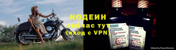 крисы Баксан