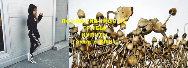 твердый Балахна