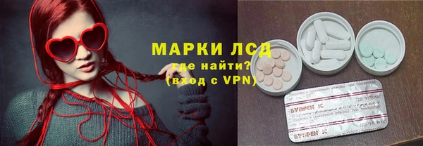 крисы Баксан