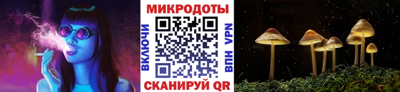 хочу   Велиж  Псилоцибиновые грибы ЛСД 